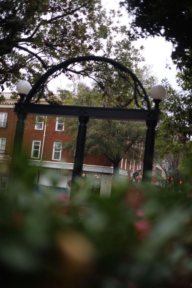 The UGA Arch seen through wet camellia leaves on a rainy day